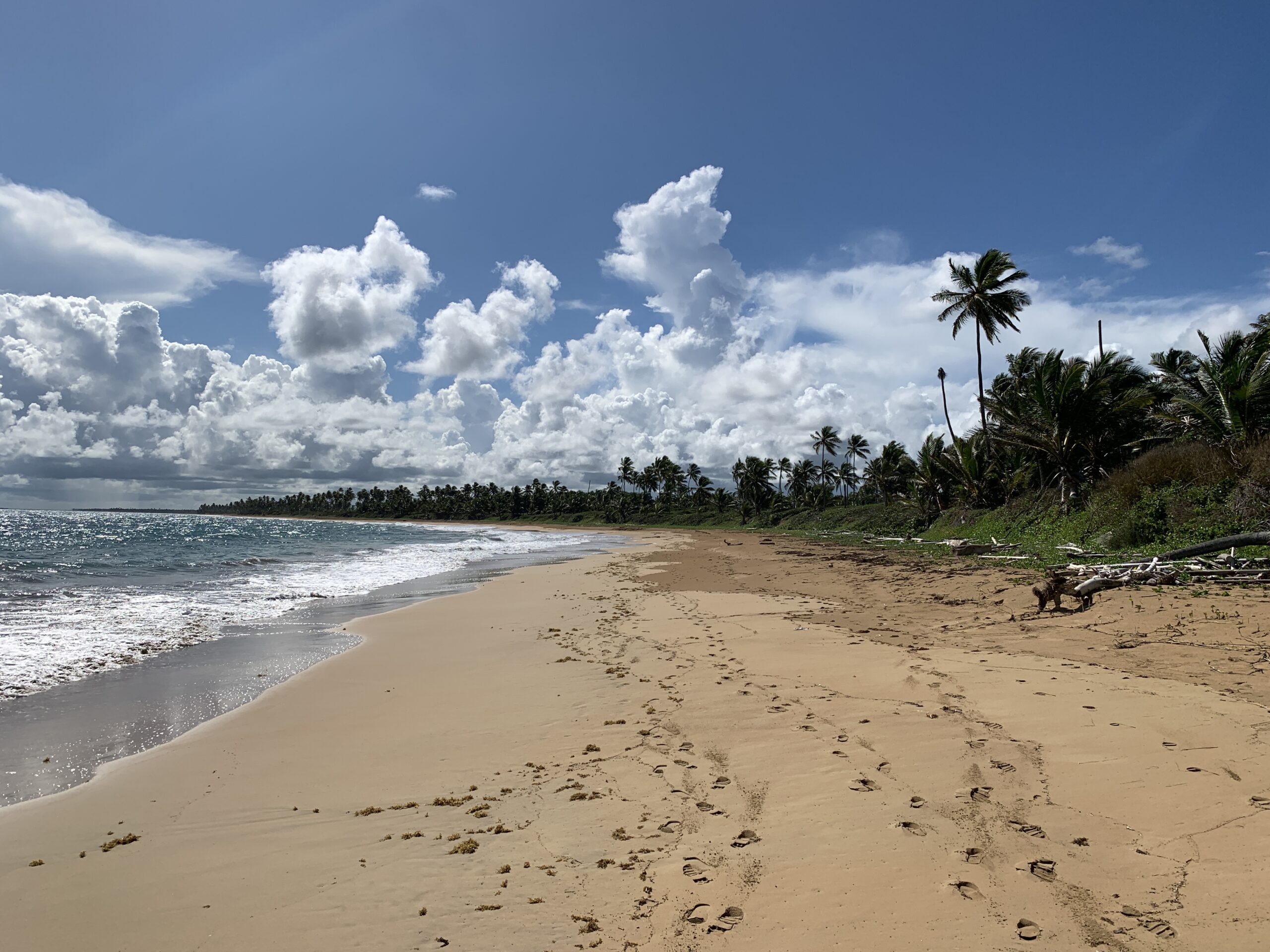 For sale – Breathtaking Beach property for a luxury hotel project 3