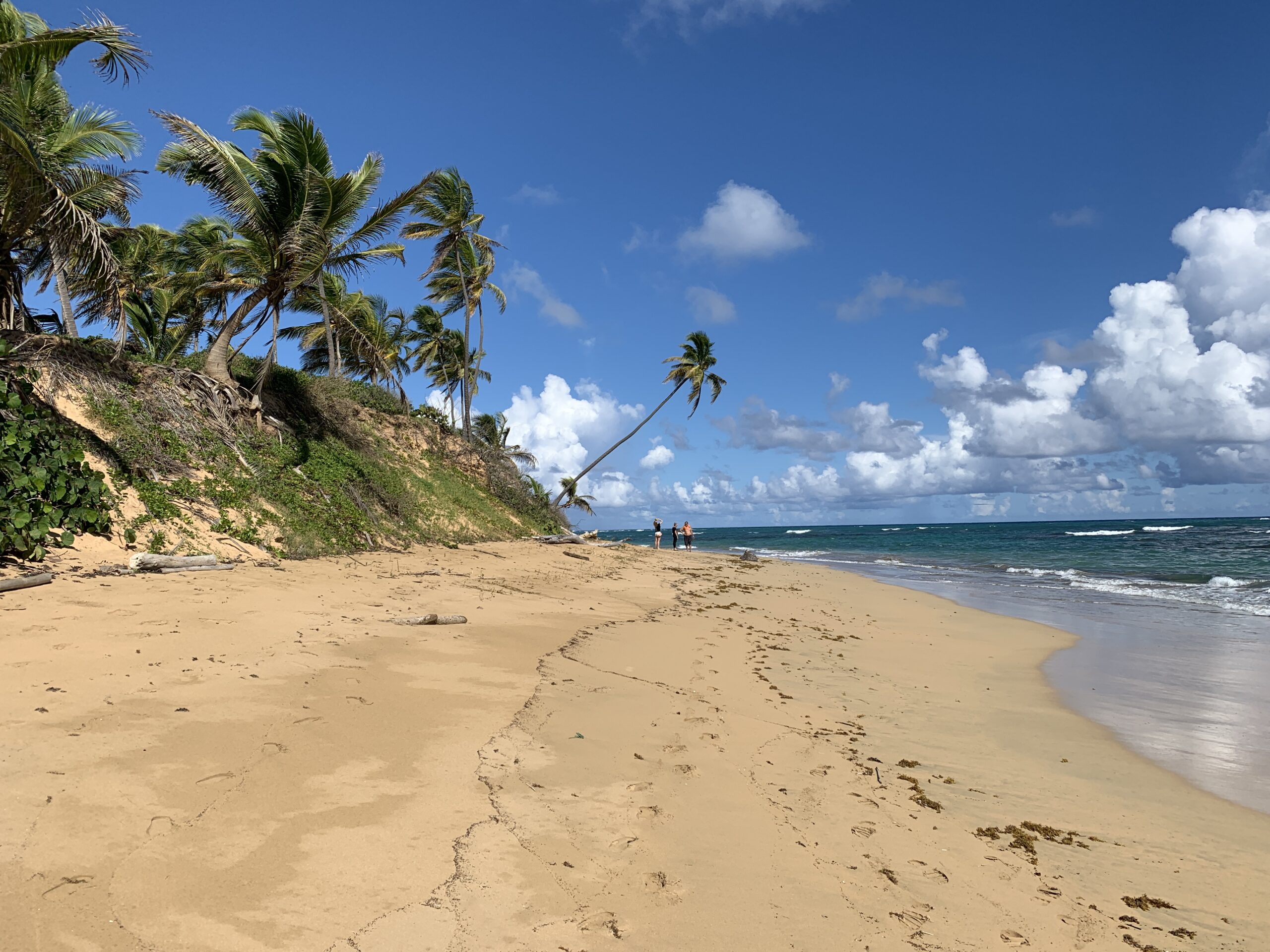 For sale – Breathtaking Beach property for a luxury hotel project 4