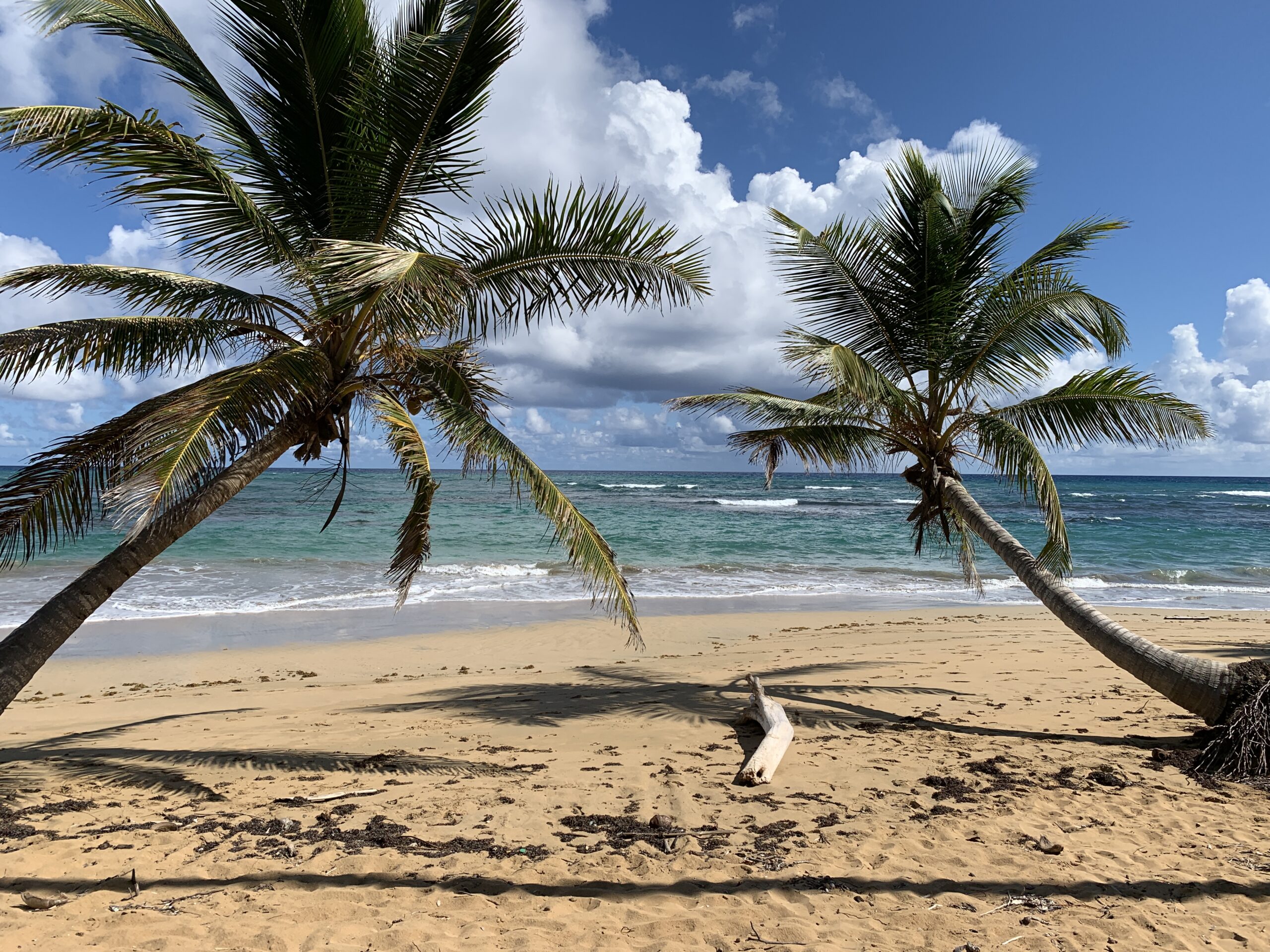 For sale – Breathtaking Beach property for a luxury hotel project