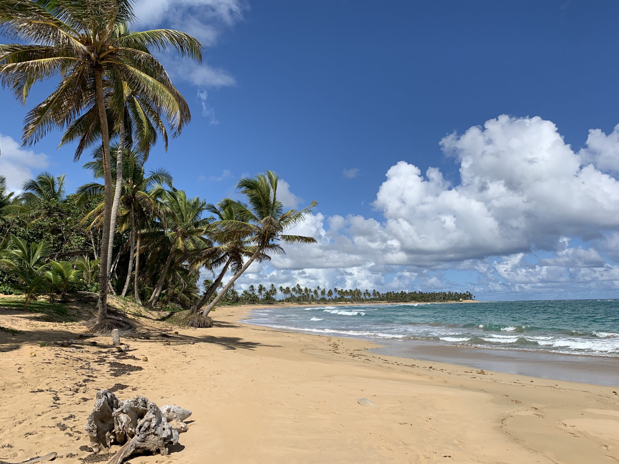 For sale – Breathtaking Beach property for a luxury hotel project 2