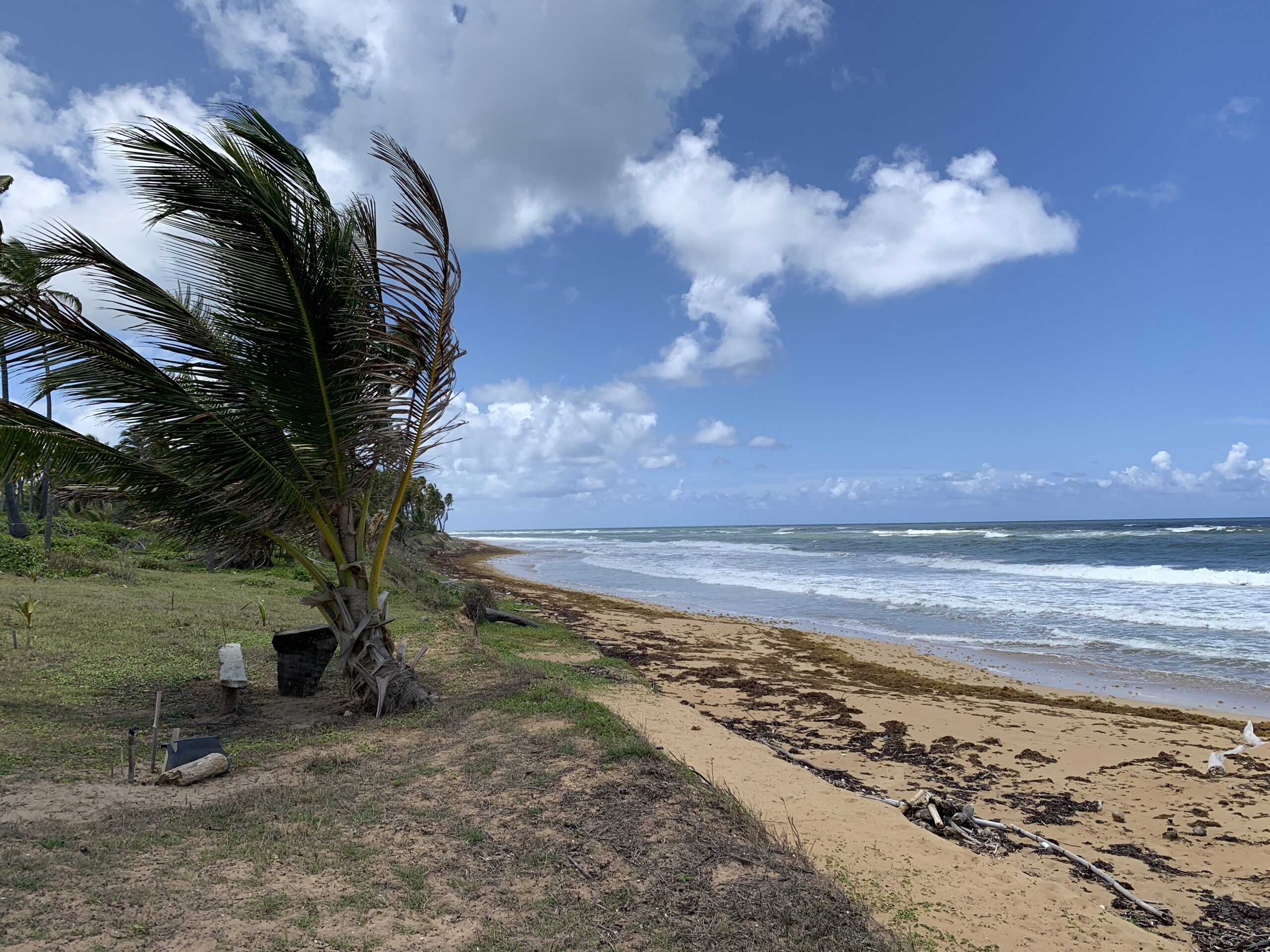 For sale – La Vacama Beach property for a luxury project 4