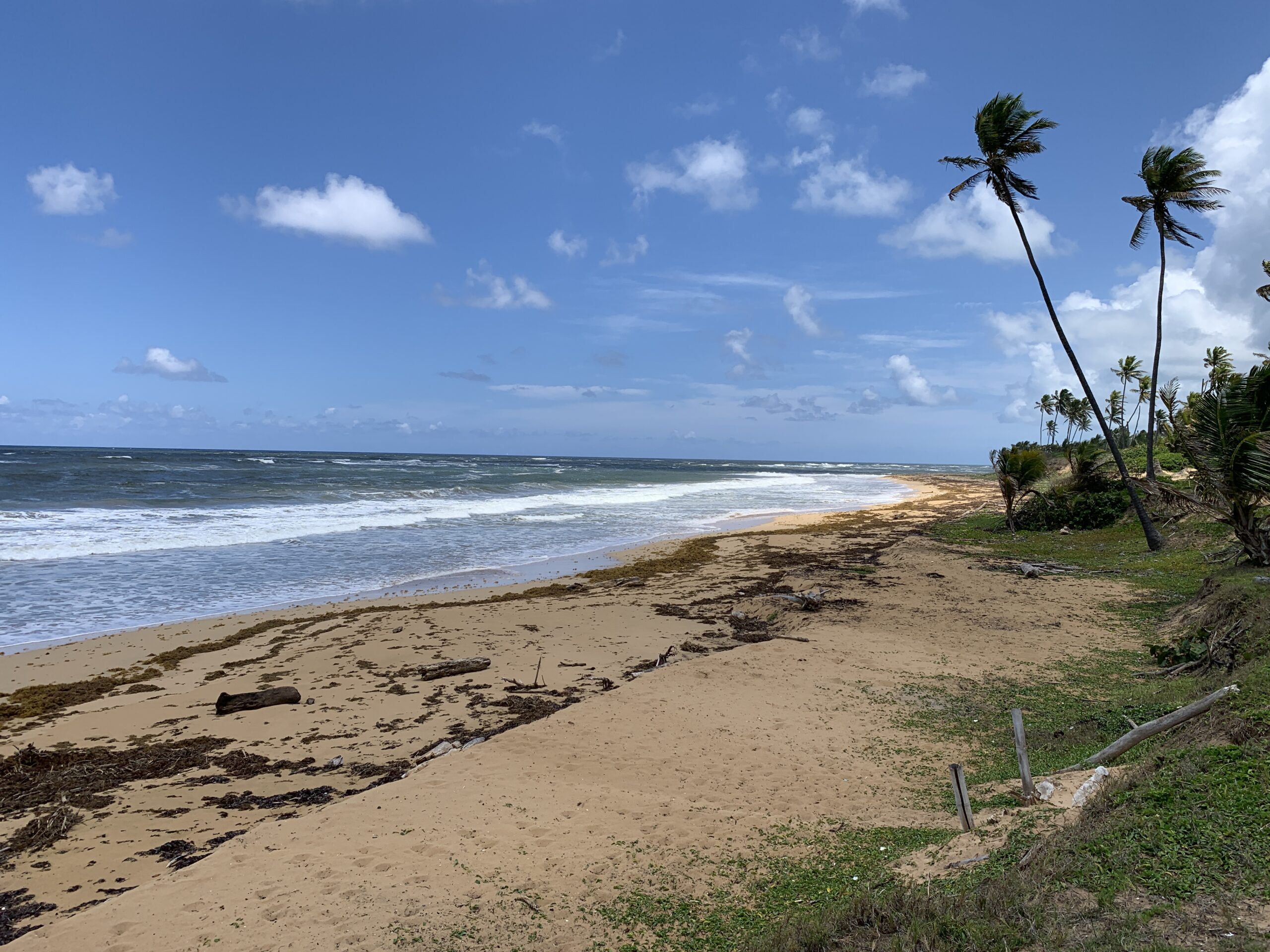 For sale – La Vacama Beach property for a luxury project 5