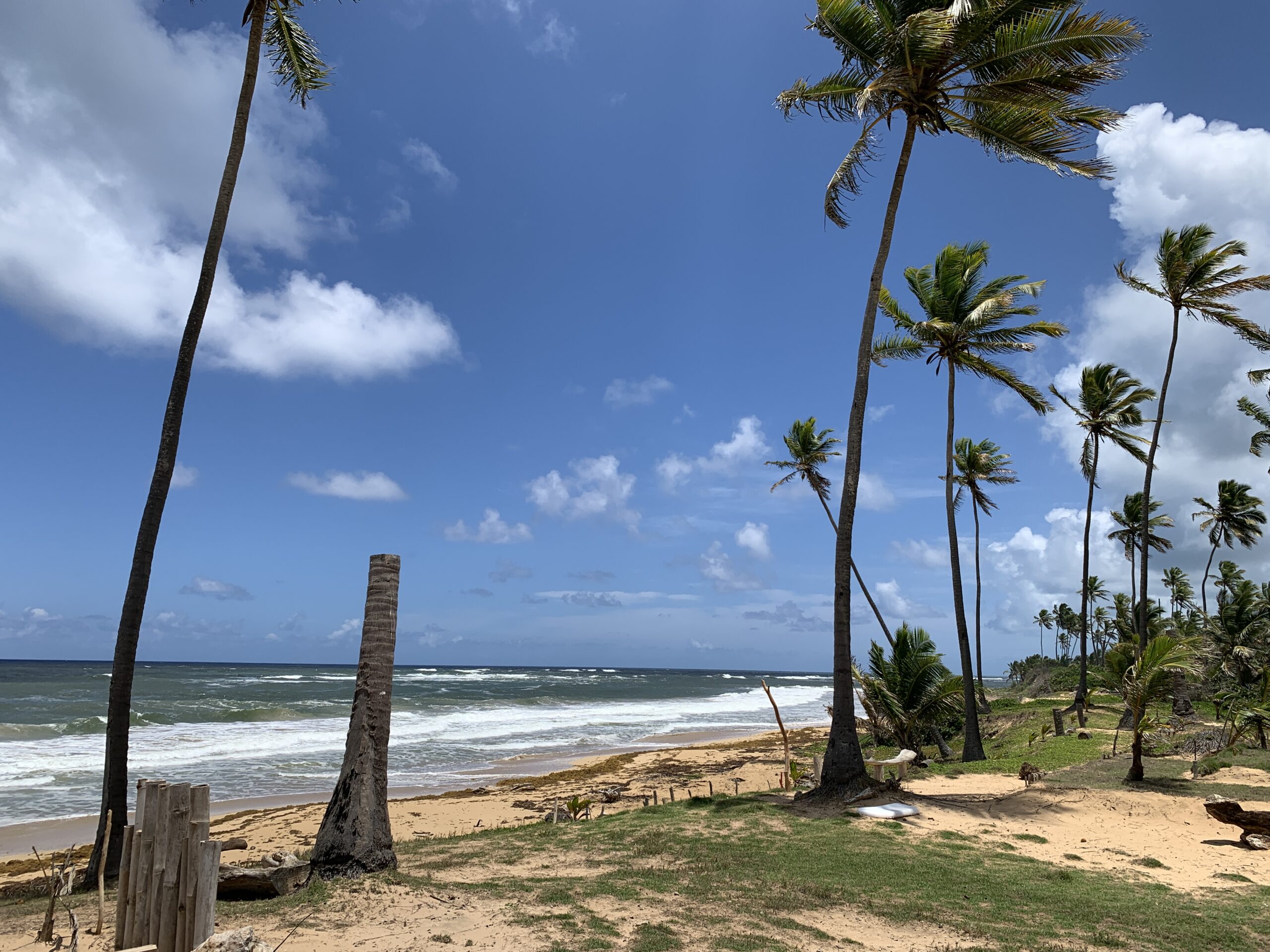 For sale – La Vacama Beach property for a luxury project 3