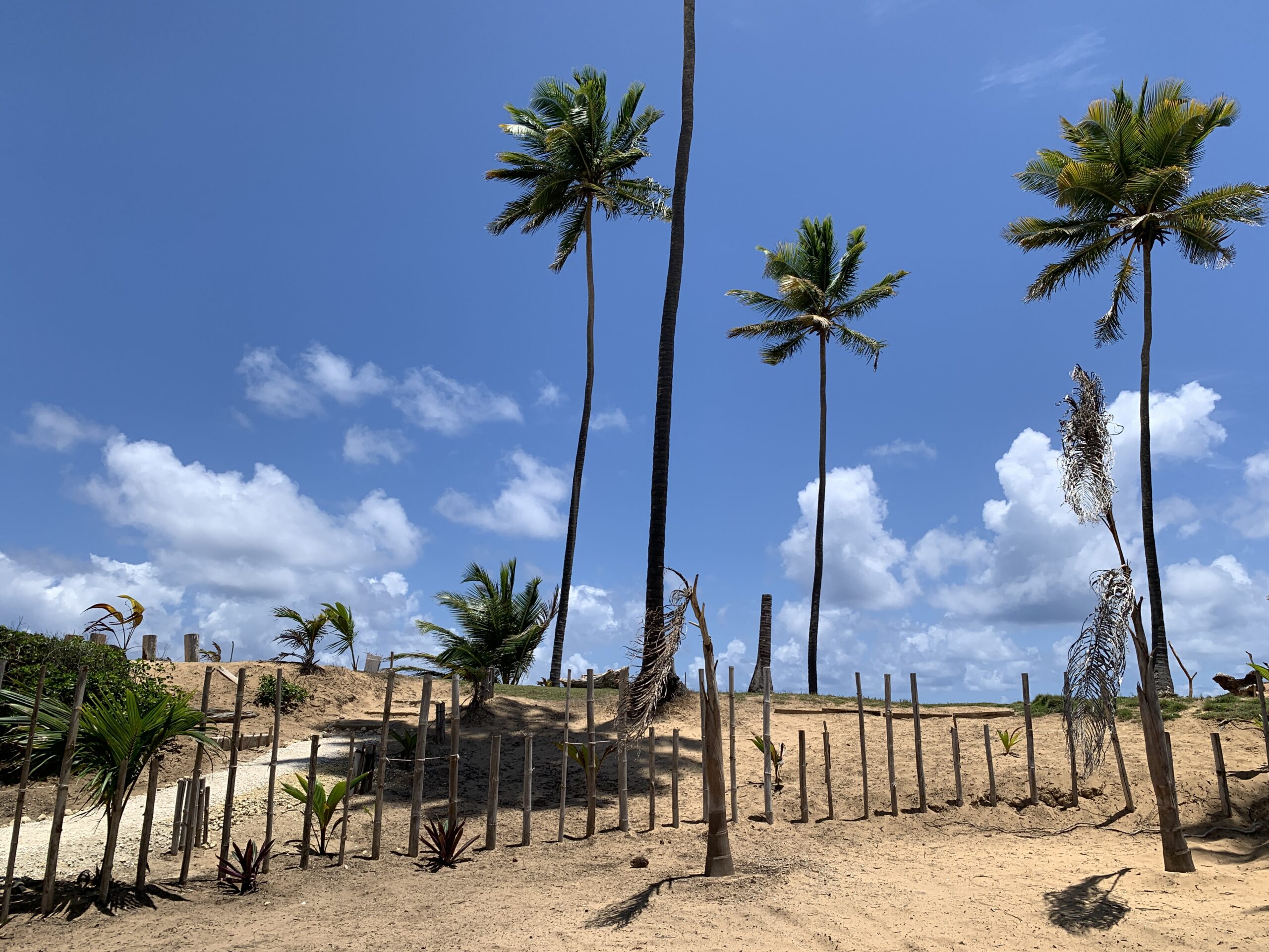 For sale – Breathtaking Beach property for a touristic project 3