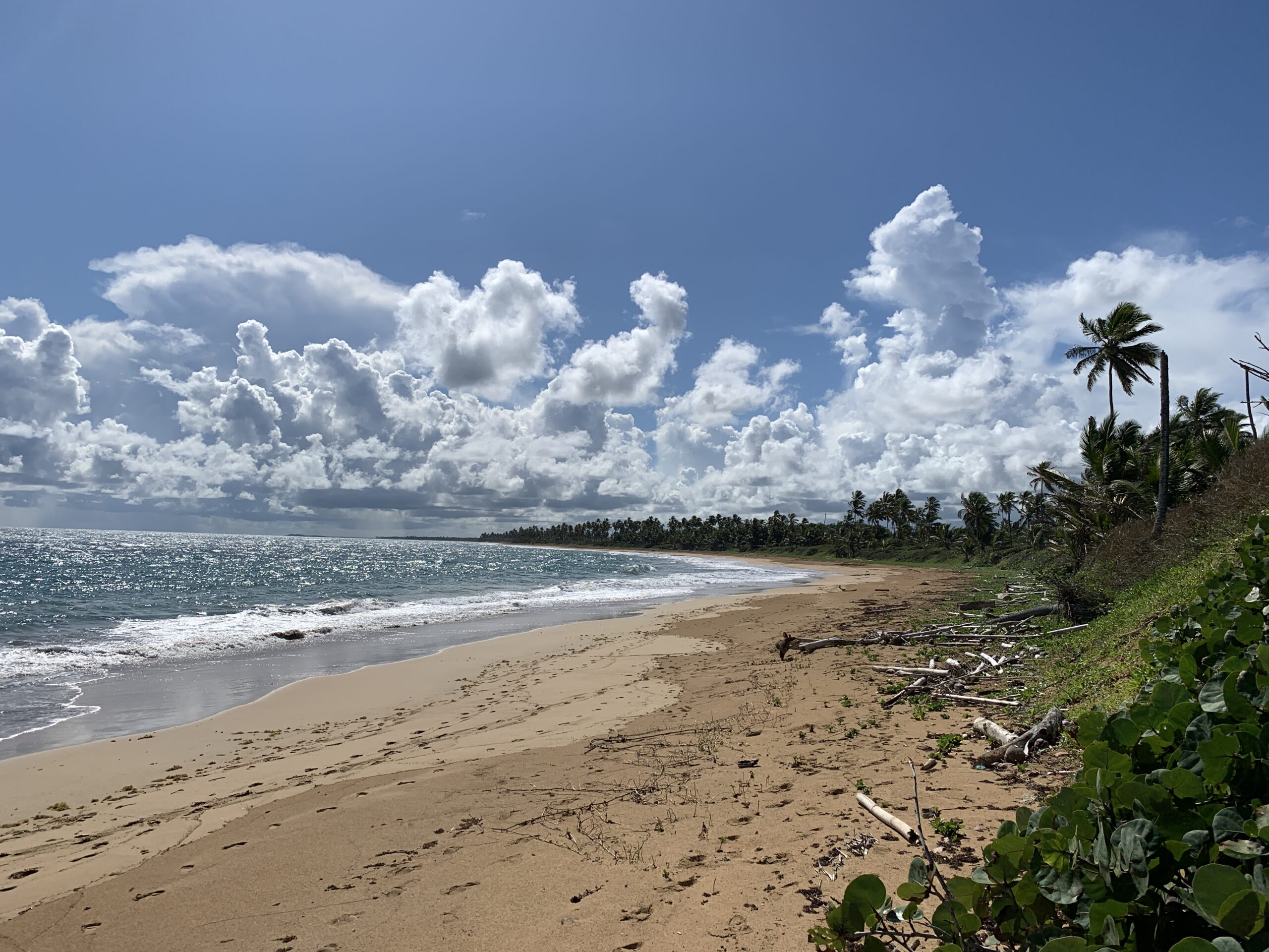 For sale – Breathtaking Beach property for a touristic project 2