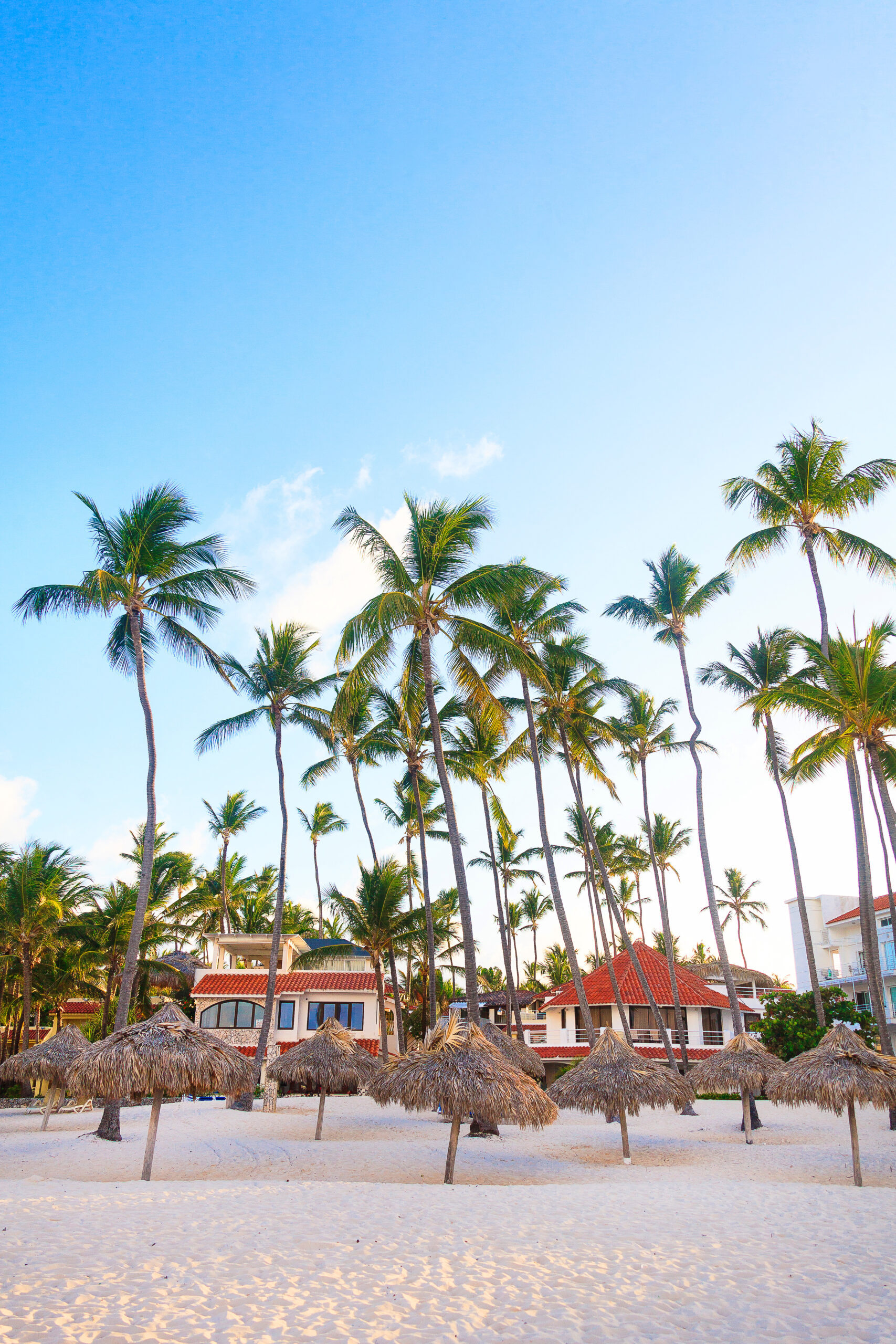 Property Management Service in Punta Cana - Best Deals Punta Cana